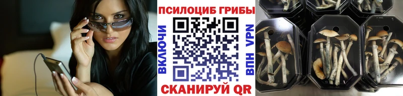 Купить закладки  Меленки  Псилоцибиновые грибы Magic Shrooms 